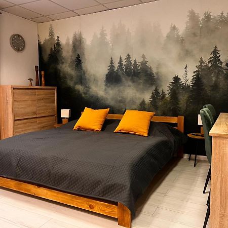 Apartmany V Centre - Vlastna Izba So Spolocnou Kuchynou A Kupelnou Moze Byt Zdielana 2 Inymi Izbami Martin Εξωτερικό φωτογραφία