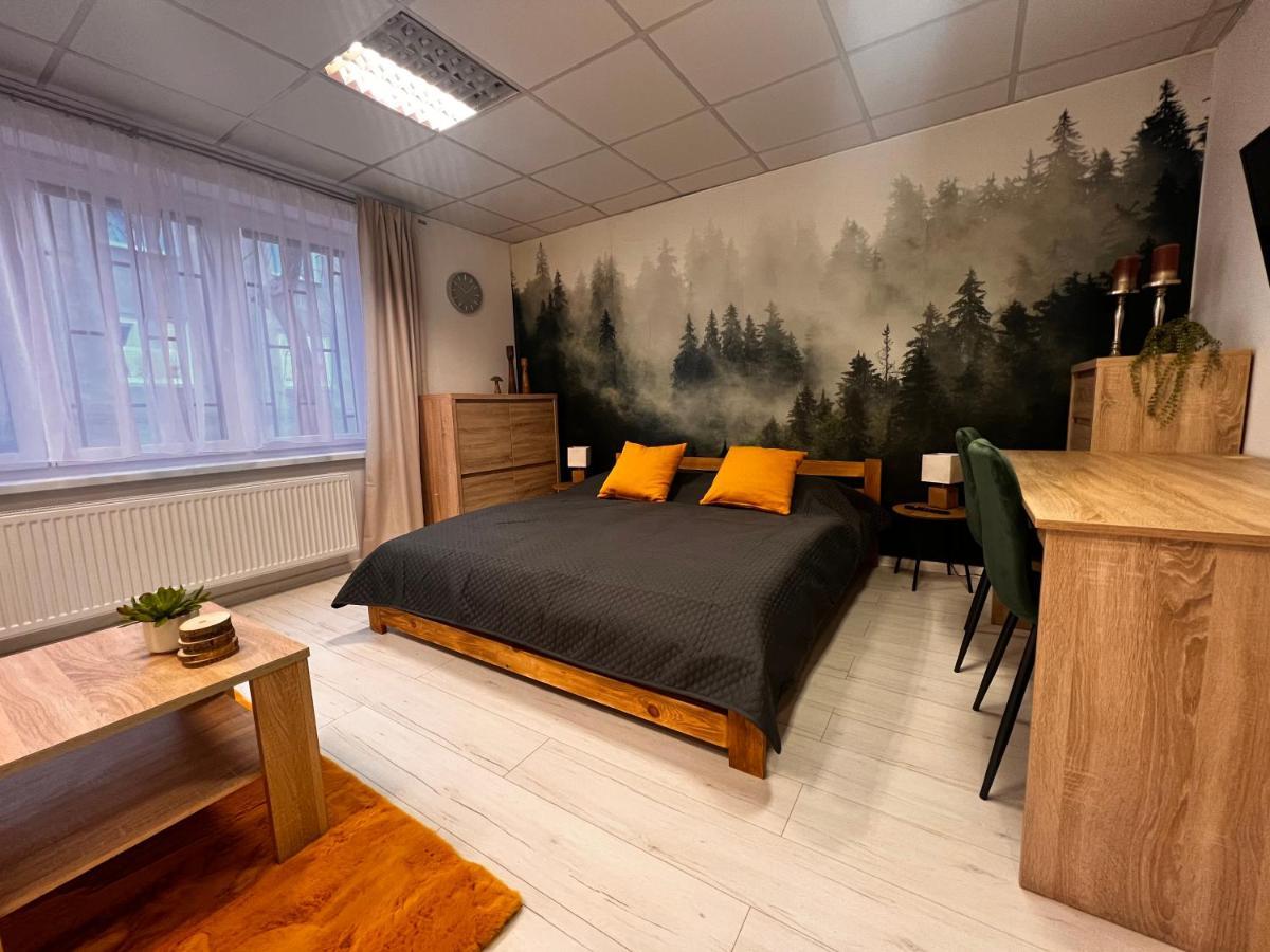 Apartmany V Centre - Vlastna Izba So Spolocnou Kuchynou A Kupelnou Moze Byt Zdielana 2 Inymi Izbami Martin Εξωτερικό φωτογραφία