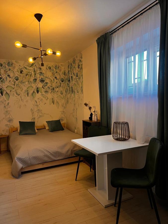 Apartmany V Centre - Vlastna Izba So Spolocnou Kuchynou A Kupelnou Moze Byt Zdielana 2 Inymi Izbami Martin Εξωτερικό φωτογραφία