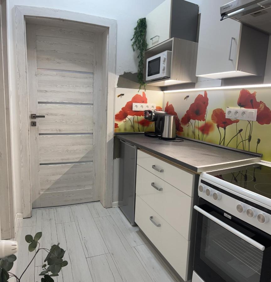 Apartmany V Centre - Vlastna Izba So Spolocnou Kuchynou A Kupelnou Moze Byt Zdielana 2 Inymi Izbami Martin Εξωτερικό φωτογραφία