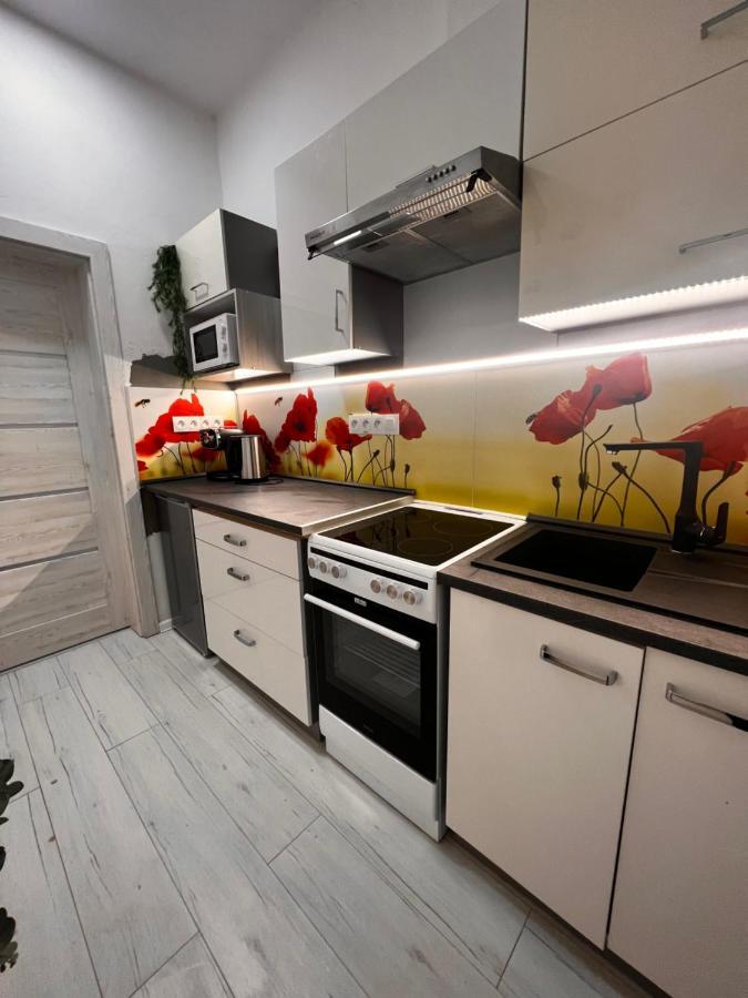 Apartmany V Centre - Vlastna Izba So Spolocnou Kuchynou A Kupelnou Moze Byt Zdielana 2 Inymi Izbami Martin Εξωτερικό φωτογραφία